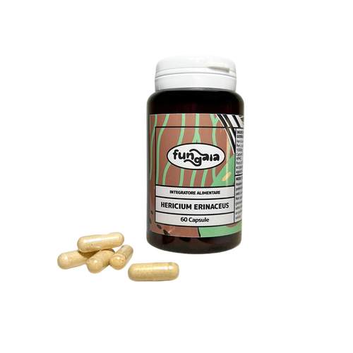 LION’S MANE - CAPSULE