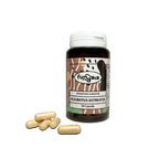 PLEUROTUS - CAPSULE